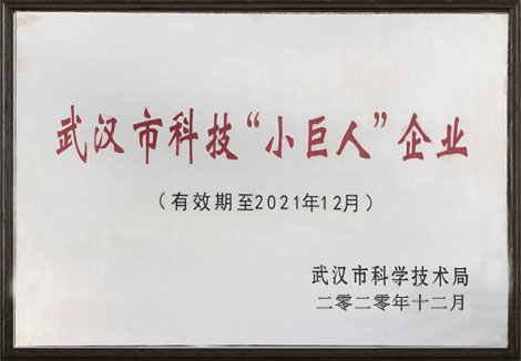 熱烈祝賀武漢仕全興榮獲2020年東西湖區(qū)科技“小巨人”企業(yè)稱號