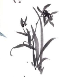 Linux服務(wù)器 屏蔽國(guó)外IP訪(fǎng)問(wèn)親測(cè)可用