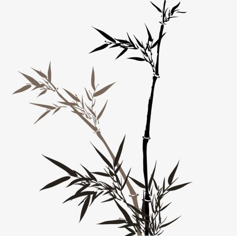 一分鐘帶你快速了解js面向對象是什么？