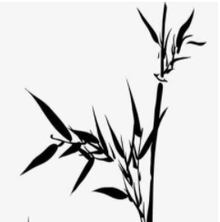 thinkphp6 如何設(shè)置標題長度