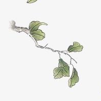 XHTML與HTML有什么區(qū)別;