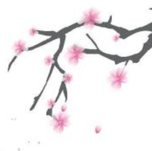 CI和TP（CodeIgniter,thinkphp6）哪個您更喜歡