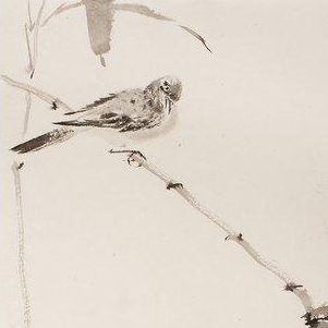 寶塔gitlab修改配置后Nginx啟動不了