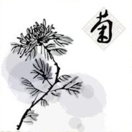 麒麟V10安裝寶塔部署PHP環(huán)境并連接達(dá)夢(mèng)數(shù)據(jù)庫(kù)