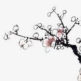 【前端面試六】描述一下CSS中的漸進增強，優(yōu)雅降級之間的區(qū)別